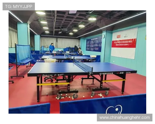 乒乓球运动发展历程与技术演变对现代体育文化的深远影响