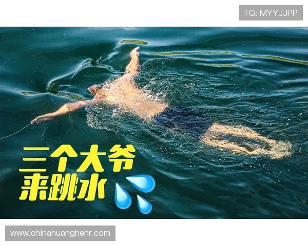 探秘跳水运动技术演变与世界冠军们背后不为人知的训练故事秘辛路