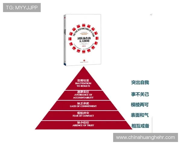 西安羽毛球队的团队协作与战术配合深度分析与探讨