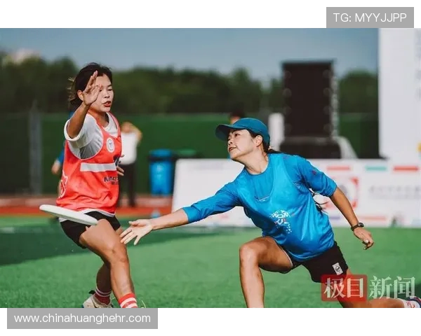 飞盘比赛实力与经验权威评估榜单全面揭晓助力选手提升竞技水平