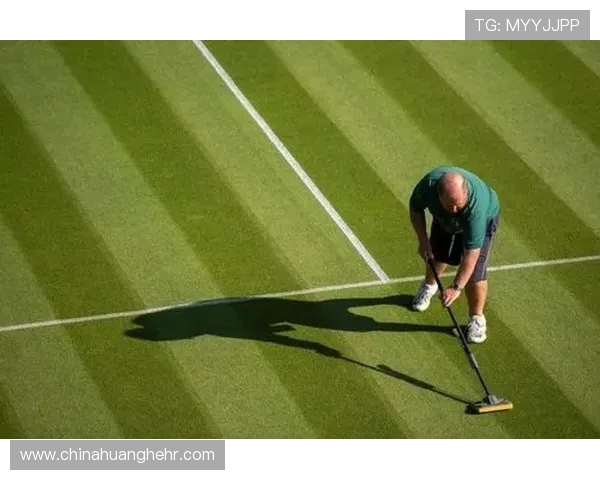 从草地到红土探寻网球运动的演变与冠军精神的永恒魅力